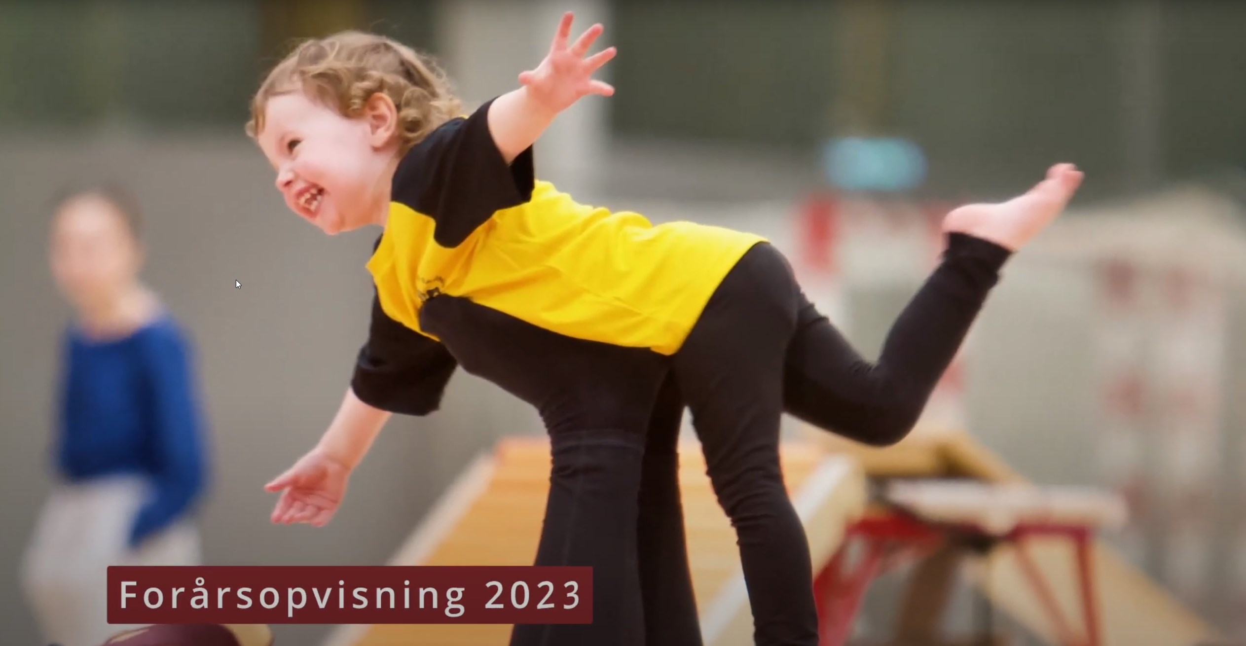 Indtryk fra Forårsopvisningen 2023